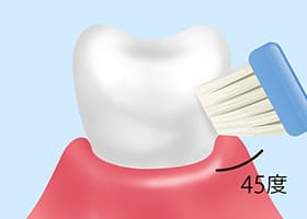 歯みがき指導